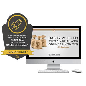 In 12 Wochen zum Nebeneinkommen